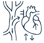 Maladies vasculaires